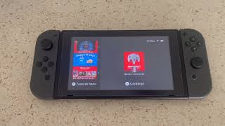Nintendo Switch with Gray Joy‑Con Review, No fancy colors but tons of fun