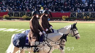 誘導馬登場 中山競馬場パドック編