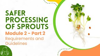 Sprouts: Module 2 Requirements and Guidelines | Part 2