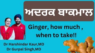 What should never be taken with ginger! ਅਦਰਕ ਨਾਲ ਕੀ ਨਹੀਂ ਖਾਧਾ ਜਾ ਸਕਦਾ !!(150)