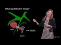 gia voeltz cu hhmi 2 using bioid to identify membrane contact site factors