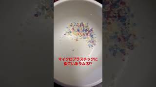 マイクロプラスチック!? (micro plastic?)