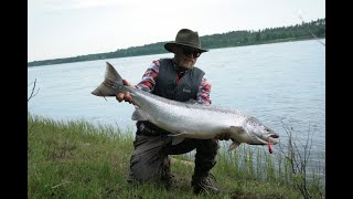 Tornionjoki - Kesän 2022 ensimmäinen