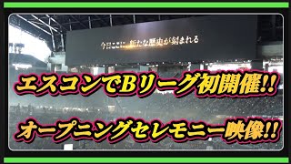 【Bリーグ】エスコンフィールドでバスケットボールの試合開催‼