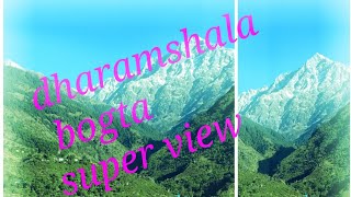 Dharamshala bogta yol and  super view