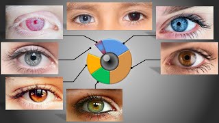 Eye color Probability