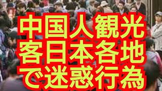 中国人日本各地で迷惑行為‼️2025年1月30日‼️ピコ次郎チャンネル がライブ配信中‼️！