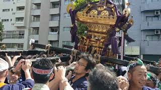 中野　氷川神社例大祭　中野警察署前　神輿連合渡御②　　2023/9/17