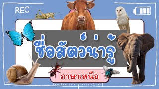 ชื่อสัตว์น่ารู้ภาษาเหนือง่ายๆ  | ภาษาเหนือวันละคำ