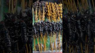 雲南路邊美食 : 油炸昆蟲 / Yunnan street food: Fried insects