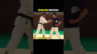 Practical application of Karate Kata【Heian-Nidan】