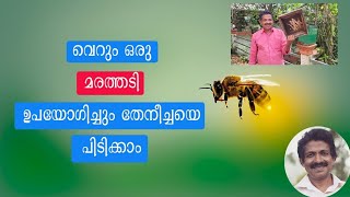 വെറും ഒരു മരത്തടി ഉപയോഗിച്ചും തേനീച്ചയെ പിടിക്കാം