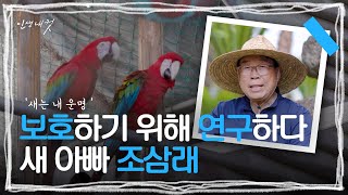 새는 내 운명, 새들의 아버지 '조삼래' | 인생내컷 | 240825