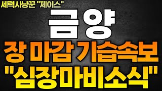 [금양 주가전망] 장 마감 기습속보!! 이거 반드시 보셔야 합니다!! 현재 주가 빠지는 이유!! 필히 시청하세요.