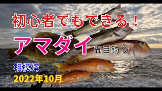 【アマダイ釣り】初心者でもできる！ 甘鯛五目釣り 相模湾 まなぶ丸 Tilefish fishing in Sagami bay of Japan, For  begginer