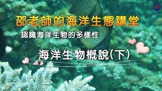 〈海洋講堂系列〉- 認識海洋生物的多樣性_海洋生物概說(下)