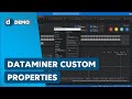 DataMiner Custom Properties Explained