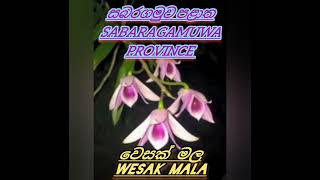 #ශ්‍රී ලංකාවේ පළාත් පුෂ්ප #srilankawe palath pushpa #srilankan provincial flowers