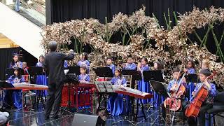 Reverie Chinese Orchestra 築夢青少年國樂團 2019 South Coast Plaza Medley