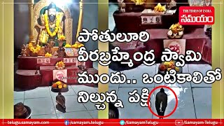 Veera Brahmendra Swamy ఆలయంలో ఒంటి కాలుపై నిలబడిన పక్షి| Bird Standing On Single Leg |Samayam Telugu