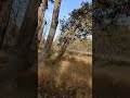 churna forest madhya pradesh