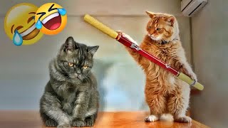 You Laugh You Lose😹🐕Funniest Dogs and Cats 2025🤣😍