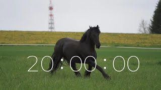 20 minute COUNTDOWN timer - HORSES - For classroom