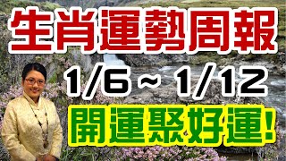 2020生肖運勢週報｜01/06-01/12｜金玲老師（有字幕）
