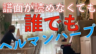 【ヘルマンハープ】見た瞬間に弾ける！魔法のヘルマンハープの音色