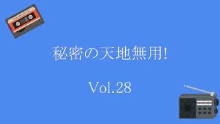 秘密の天地無用! Vol.28