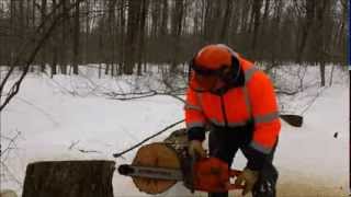 Huztl 372 Cuts Its FIRST Tree! ( 4 of 5 ) (Aftermarket Chainsaw Parts Series, by Hill Top Saw Shop)