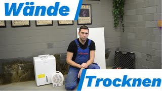 Wände schnell trocknen: Tipps und Tricks für trockene Wände🔧