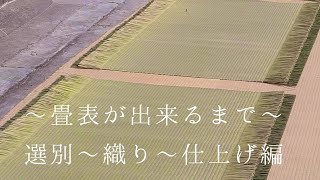 〜畳表が出来るまで〜　選別〜織り〜仕上げ編