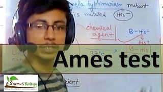 Ames test