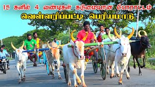 வெள்ளரிப்பட்டி நடுமாடு 1(31/05/2023) மதுரை