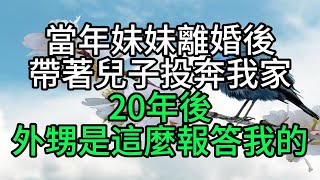 當年妹妹離婚後帶著兒子投奔我家，20年後，外甥是這麼報答我的【花好月圓心語】