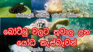 Hikkaduwa,srilanka coral \u0026 sea turtle කොරල්පර සහ යෝද කැස්බෑවන් 🐢