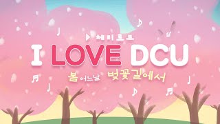 I LOVE DCU♡ 2023 대구가톨릭대 체리로드 cherry blossoms🌸