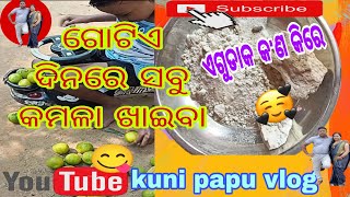 ଏତେ କମଳା ପୁଣି ଗୋଟିଏ ଦିନରେ 🥱#ସୋନୁ ଗାଡ଼ିରେ ନେଲା ବିକି #kui papu odia vlog #plz subscribe my channel 🙏