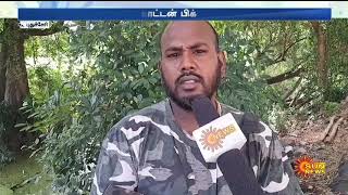 புதுச்சேரி ஊசுட்டேரியில்  விருந்தாளியான அரிய வகை இந்திய சாம்பல் இருவாச்சி பறவைகள்...!