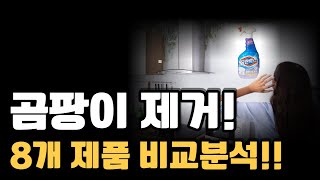 곰팡이 때문에 머리 아프시죠? 비싼거 살 필요 없습니다 8개 제품 비교 분석결과!