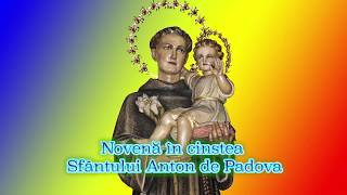 Novena in cinstea Sfantului Anton de Padova - Ziua 8