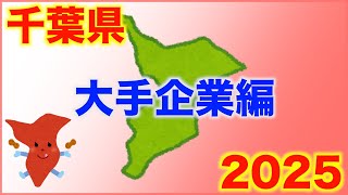 【千葉県の薬局紹介】２０２４　大手企業編