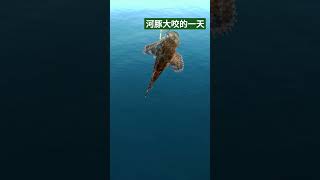 新北堤 刺龜大咬 #安平 #釣魚 #新北堤 #磯釣