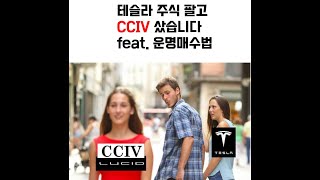 테슬라 주식 팔고 cciv 주식 매수한 이유 루시드모터스 합병 소문 그리고 운명매매법