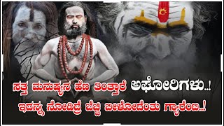 ಸತ್ತ ಮನುಷ್ಯನ ಹೆಣ ತಿಂತ್ತಾರೆ ಅಘೋರಿಗಳು.! ಇದನ್ನ ನೋಡಿದ್ರೆ ಬೆಚ್ಚಿ ಬೀಳೋದೆಂತು ಗ್ಯಾರೆಂಟಿ.!