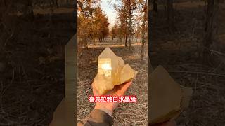 喜馬拉雅白水晶簇 天然原礦 水晶淨化 礦標 標本 石頭 礦物 #crystal #水晶 #天然水晶 #crystalshop #水晶契約 #鉱石 #quartz #stone #gemstone