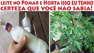 LEITE nas plantas, isso tenho certeza que você não sabia!