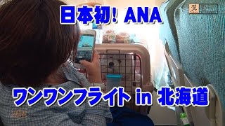 ANA 日本初！ 機内でも！ ホテルでも！ 犬と一緒に空の旅！「ワンワンフライト in 北海道」 News