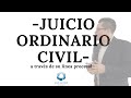 Breve análisis de un Juicio Ordinario Civil a través de su línea procesal